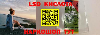 бошки Краснодар