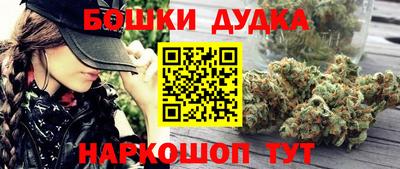 apvp Лесосибирск